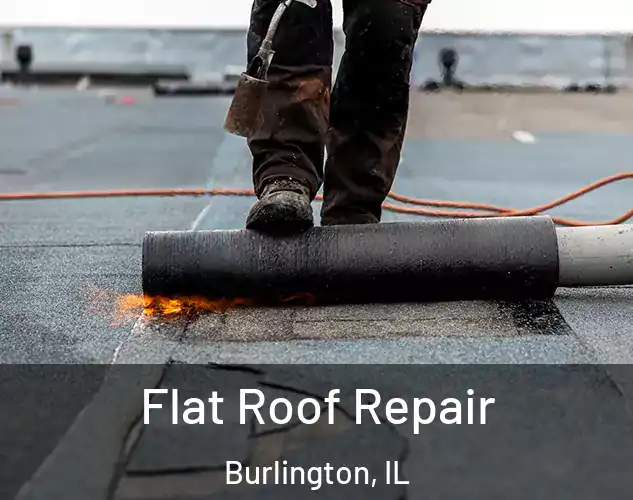  Flat Roof Repair Burlington, IL