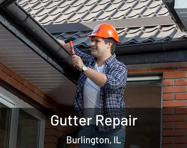  Gutter Repair Burlington, IL