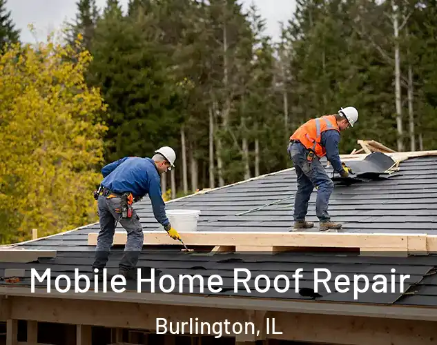  Mobile Home Roof Repair Burlington, IL