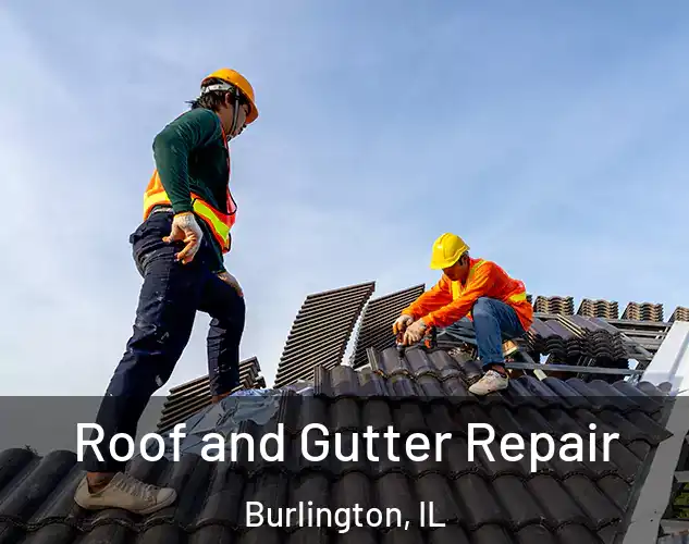  Roof and Gutter Repair Burlington, IL