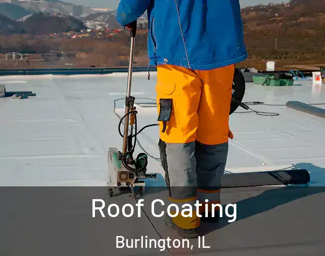  Roof Coating Burlington, IL