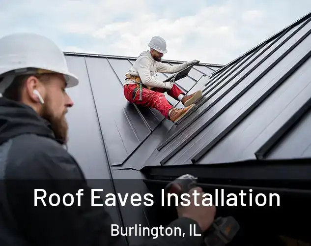  Roof Eaves Installation Burlington, IL