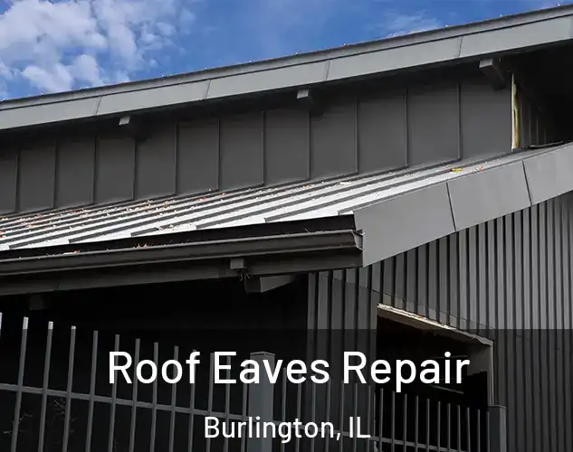  Roof Eaves Repair Burlington, IL