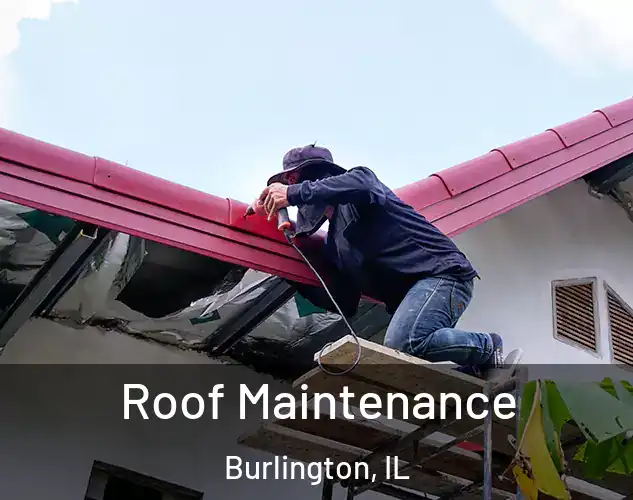  Roof Maintenance Burlington, IL