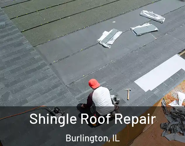  Shingle Roof Repair Burlington, IL
