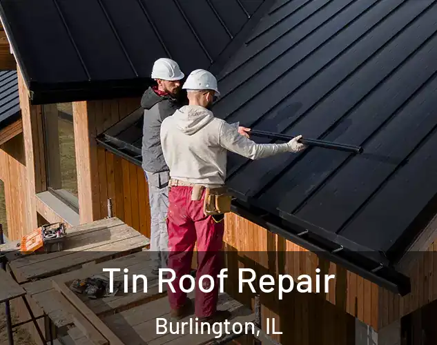 Tin Roof Repair Burlington, IL